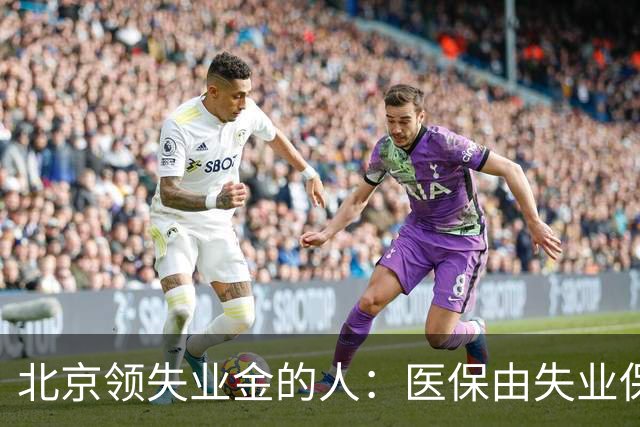 北京领失业金的人：医保由失业保险基金代缴，停了要赶紧自己续