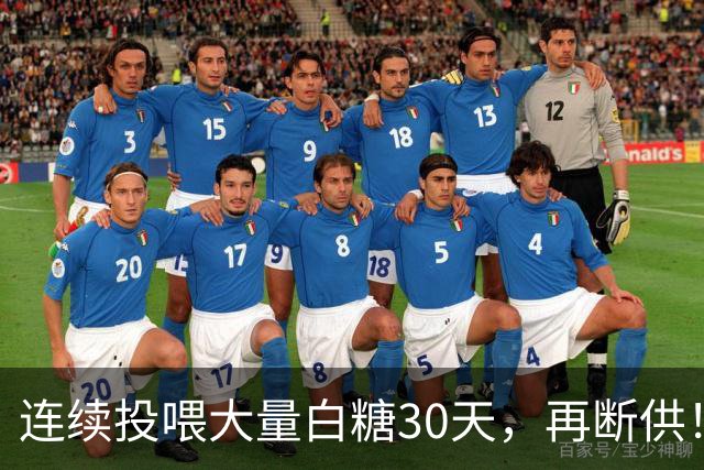 连续投喂大量白糖30天，再断供！国外网红扮“蚂蚁天神”整蛊野生蚁群